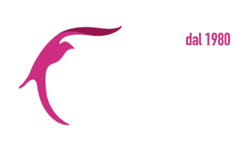 Logo  MGN